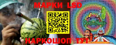 сатива Нальчик
