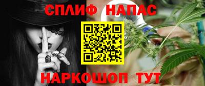 сатива Нальчик